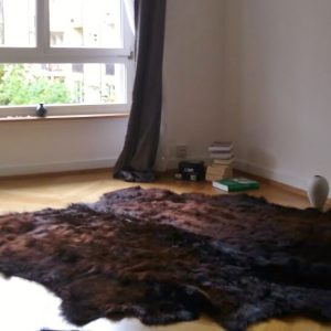 IMG 20170930 WA0000 e1520007564923