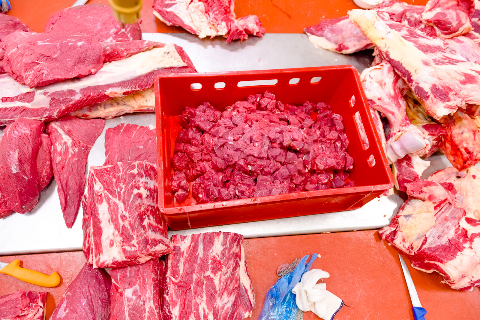 0190_161109_unbenannt_0486 besserfleisch.de Bio Fleisch aus Weidehaltung