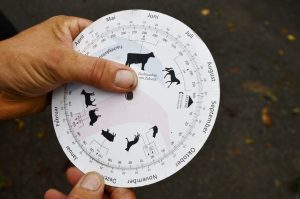 besserfleisch.de Bio Fleisch aus Weidehaltung