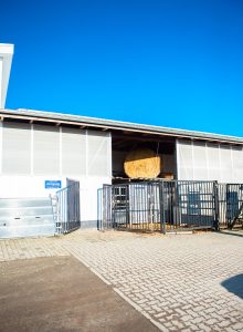 besserfleisch.de Bio Fleisch aus Weidehaltung