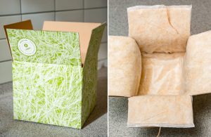 besserfleisch.de Bio Fleisch aus Weidehaltung