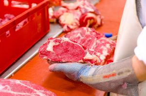 besserfleisch.de Bio Fleisch aus Weidehaltung