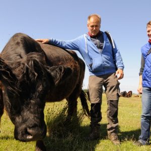 besserfleisch.de Bio Fleisch aus Weidehaltung