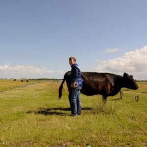 besserfleisch.de Bio Fleisch aus Weidehaltung