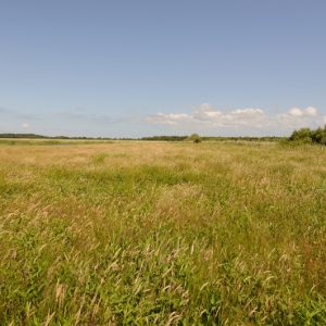 besserfleisch.de Bio Fleisch aus Weidehaltung