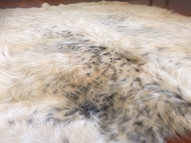 IMG_1748 besserfleisch.de Bio Fleisch aus Weidehaltung