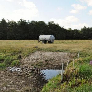 besserfleisch.de Bio Fleisch aus Weidehaltung