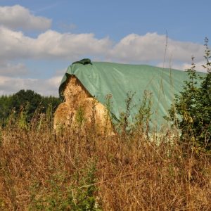 besserfleisch.de Bio Fleisch aus Weidehaltung