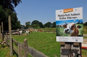 besserfleisch.de Bio Fleisch aus Weidehaltung