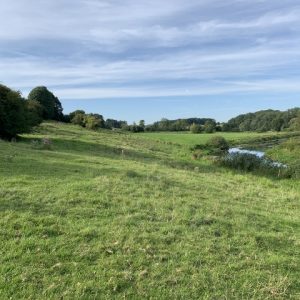 besserfleisch.de Bio Fleisch aus Weidehaltung