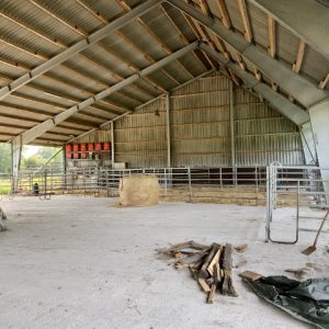 besserfleisch.de Bio Fleisch aus Weidehaltung